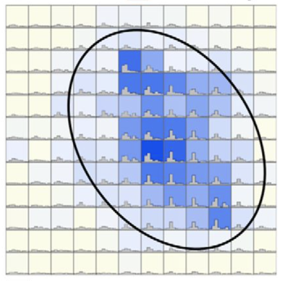 This image communicates 3 pieces of information about data collected in the visual cortex: the shape of the receptive field (shaded in blue), the fine details about the neuronal responses (individual histograms), and result of a model fitted to the data (the oval-shaped contour). Published in Yu et al. (2013) The Journal of Neuroscience 33, 12479-12489.