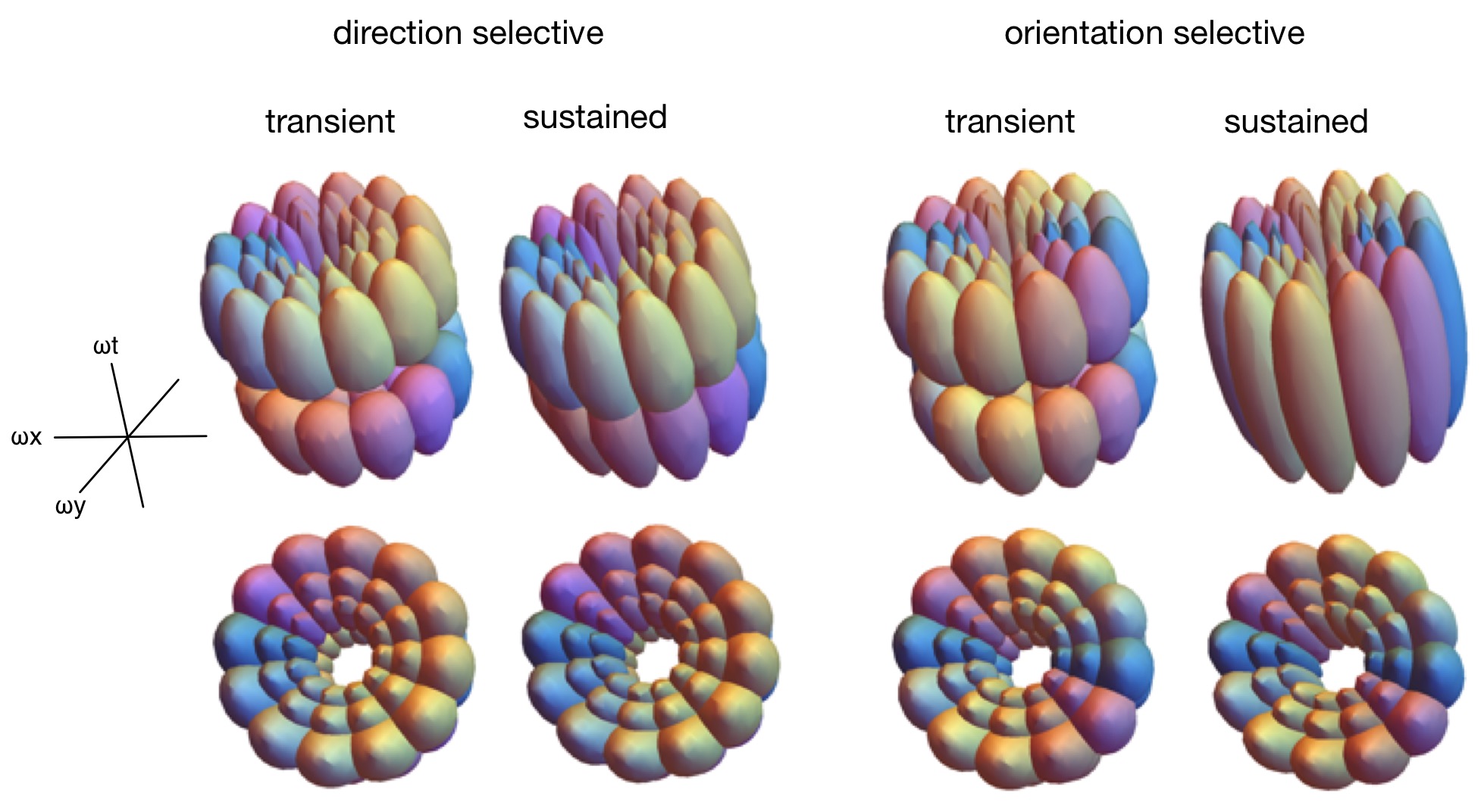 Model neurons for the detection of image motion, illustrated in the 3D Fourier space. Unpublished figure. (c) Hsin-Hao Yu.