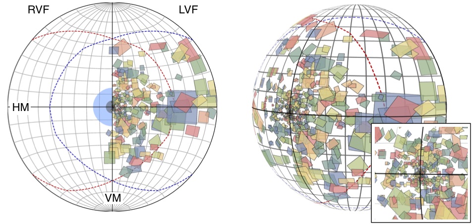 Results of a brain mapping experiment. The polygons are the parts of the visual field encoded by neurons in the visual cortex. The are plotted on the sphere and on projections to the 2D plane. In Yu et al., (2015) Neuroscience Research 93:47-61.